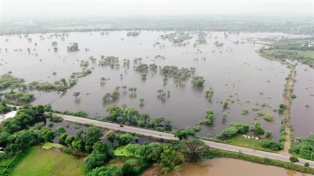 Aerial view of a village in Bhilwara, Rajasthan during monsoon morning, showing a pond with an ancient peepal-fig tree, roads with moving vehicles, another pond, fields with babool trees, and water