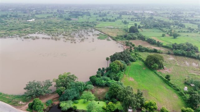 Aerial view of a village in Bhilwara, Rajasthan during monsoon morning, showing a pond with an ancient peepal-fig tree, roads with moving vehicles, another pond, fields with babool trees, and water