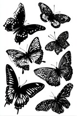 Diverse black and white butterfly silhouettes with intricate wing patterns