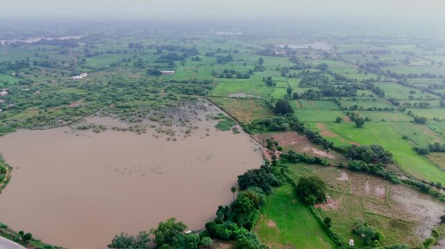 Aerial view of a village in Bhilwara, Rajasthan during monsoon morning, showing a pond with an ancient peepal-fig tree, roads with moving vehicles, another pond, fields with babool trees, and water