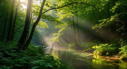 Obraz premium Sunlight streams through a lush green forest, illuminating a tranquil river flowing through the trees.