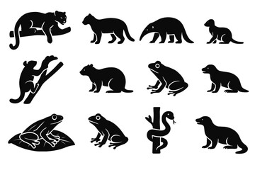 Climbing giant icons vector rainforest coiled caiman animal icon coati anteater turtle