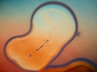 Obraz premium Macro abstract of colorful liquid drop with gradient orange and blue background