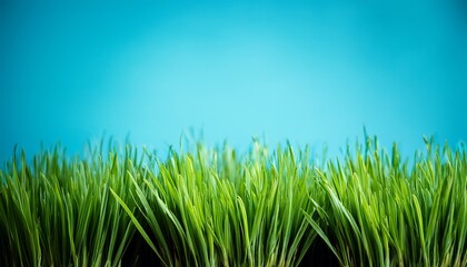 grass on blue background