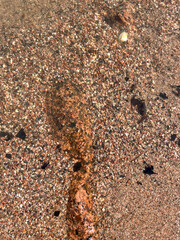 sand on the beach
