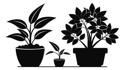 Vector art of set of potted plant silhouette, featuring various houseplants in different pots for indoor decoration