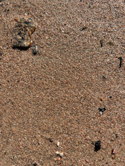 beach sand on the shore texture