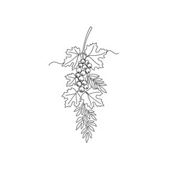 Grapes with leaves illustrated in black and white line art  