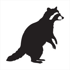  Silhouette of a raccoon standing upright with distinctive mask and ringed tail © Rohit