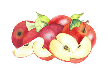 whole and sliced apples, watercolor illustration for dishes, textiles, and packaging
