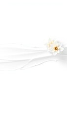White flower blossoms on creamy white texture for beauty, spa, health, wellness, and a modern lifestyle feel
