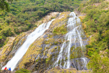 屋久島　大川の滝