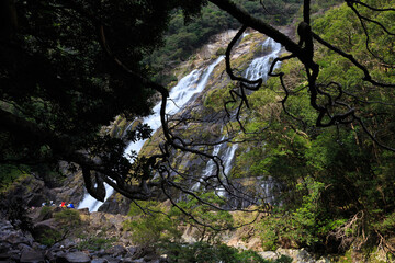 屋久島　大川の滝２