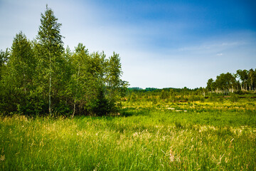 Naturwanderf&uuml;hrung im Moorgebiet in Deutschland, F&uuml;hrung durch ein Moorgebiet, Naturwanderung
