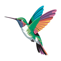 Fototapeta premium Colorful Hummingbird Vector Illustration Isolated on White Background
