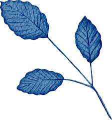 watercolor winter leaf illustration