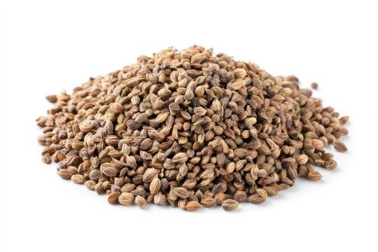 Perfectly preserved celery seeds, ready for sowing.