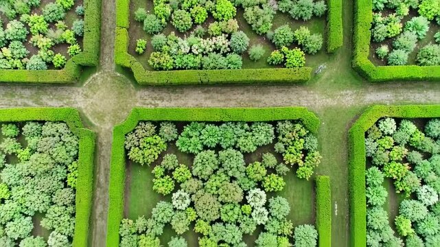 Aerial view of a meticulously landscaped formal garden with boxwood hedges dividing colorful plantings