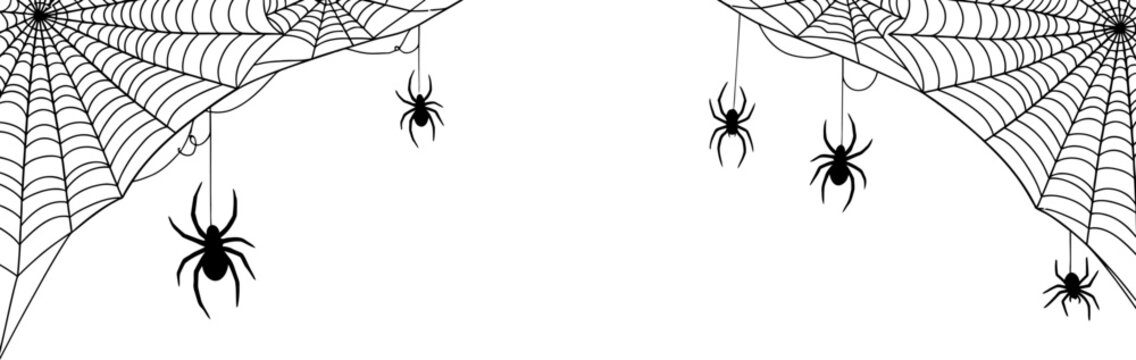 Spooky Spiderwebs and Spiders Halloween Vector Graphic