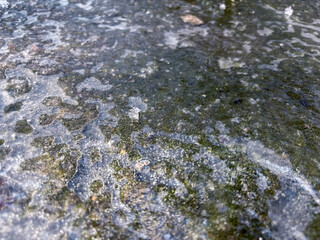 Grungy Texture of Ice and Algae on a Frozen Surface