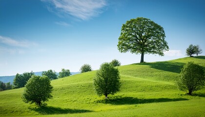 Fototapeta premium A Solitary Tree Stands Majestically On A Gentle Hill Surrounded By Smaller Trees In A Serene Landscape