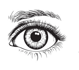 Obraz premium vector illustration of human eye