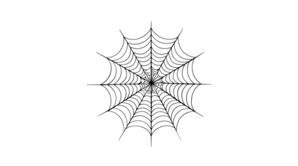 Minimalist spiderweb line art, clean Halloween vector element, isolated on transparent background 