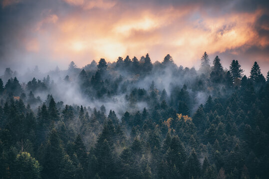 Misty mountain landscape