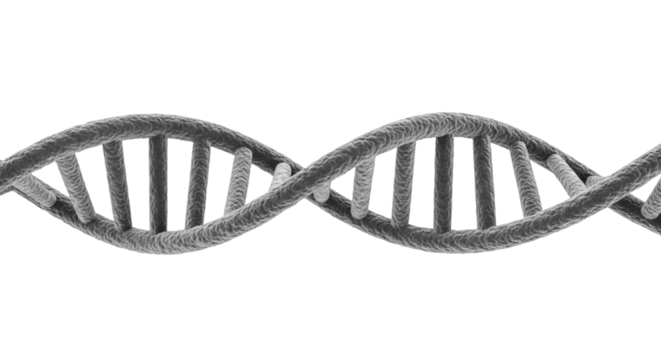 3D DNA Double Helix on Black Background