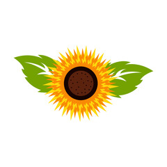 sun flower ddesign icon vecktor © Sucirama