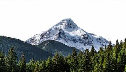 Obraz premium majestic snow capped mountain towering over dense forest landscape on white background