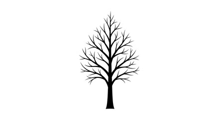 Obraz premium Minimalist Bare Tree Silhouette Isolated on White Background