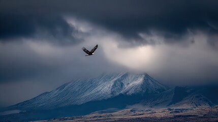 Majestic Eagle Soaring Through Dramatic Stormy Sky Over Snowy Mountain Range