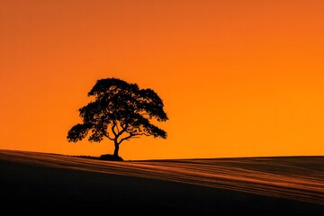 Fototapeta premium Minimal Tree Design with Rising Heat and Drought Symbol