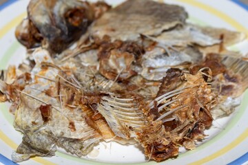 The remains of a roach fish skeleton on a white plate after a meal