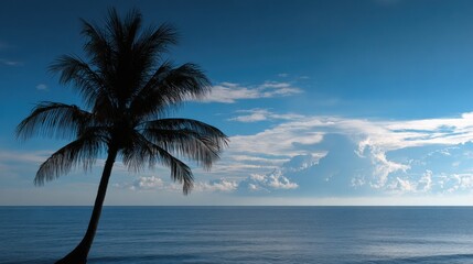 Palm Tree Silhouette at Ocean Horizon with Cloudy Sky