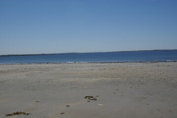 Calm beach scene with clear blue sky and water