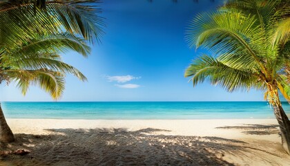 Sunny Beach Framed By Palms Against Clear Blue Sky