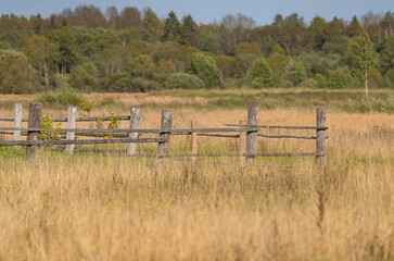 Fototapeta premium old wooden fence in a field