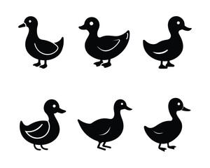 Collection of six simple black duck silhouettes against a clean white background for various design uses