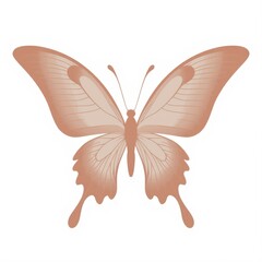 Graceful Winged Silhouette: A minimalist illustration of a butterfly, its delicate wings spread in perfect symmetry, evoking a sense of tranquility and natural beauty.