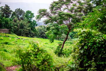 Panoramic nature background (mountains, sea, trees, twilight lights in the sky, waterfront communities), naturally blurred through the wind, seen on tourist spots or scenic spots