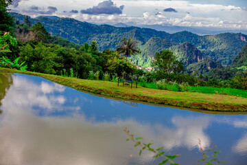 Fototapeta premium The natural background of nature in rural communities with rice fields and grasslands near large mountains is a beauty that can be found in northern Thailand such as Chiang Mai, Chiang Rai.