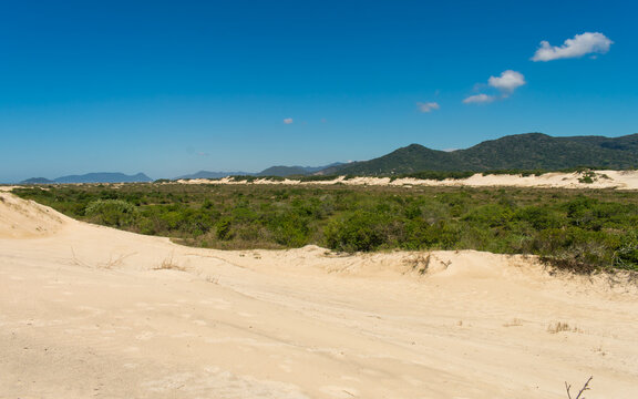 Parque Natural Municipal das Dunas da Lagoa da Concei&ccedil;&atilde;o - Preservation area protecting the restinga forest and dunes in Florianopolis, Brazil