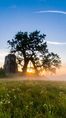 Sunrise over ruins and trees