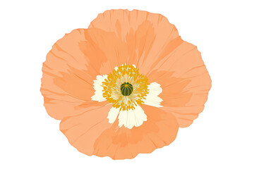 Peachy Orange Poppy Flower