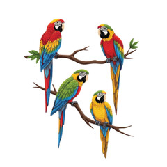 Obraz premium Four colorful macaws perched on tree branches, showcasing vibrant plumage and natural beauty.