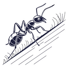 ant on a white background
