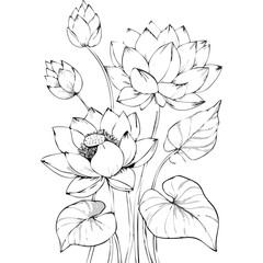 Lotus Flower Sketch Outline Illustration in Black and White – Hand Drawn Botanical Vector