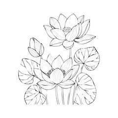 Lotus Flower Sketch Outline Illustration in Black and White – Hand Drawn Botanical Vector